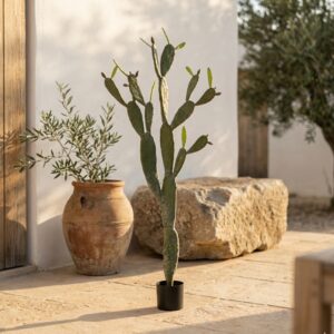 קקטוס נופך מלאכותי בעציץ שחור