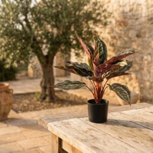 עציץ קלתאה מלאכותי