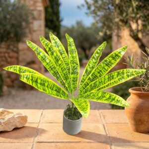 עשב נמר מלאכותי בעציץ