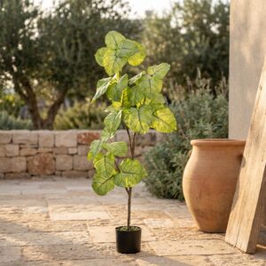 סינגוניום מלאכותי בעציץ שחור