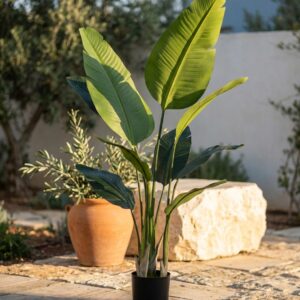 ציפור גן עדן מלאכותית בעציץ שחור