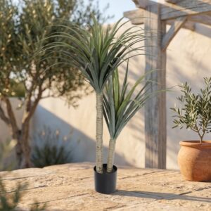 דרצנה דרקו מלאכותית בעציץ שחור