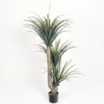 דרקונית מלאכותית בעציץ שחור - 150cm