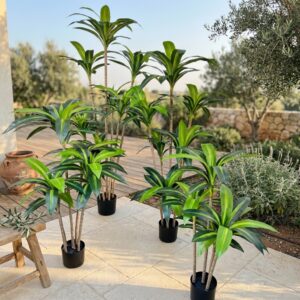 דרקנה מלאכותית בעציץ שחור