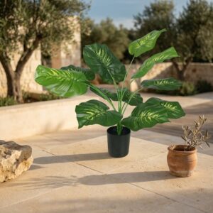 דיפנבכיה מלאכותית בעציץ