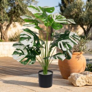 מונסטרה דליסיוסה מלאכותית בעציץ