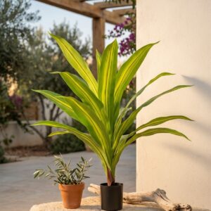 צמח דרקונית מלאכותי בעציץ שחור