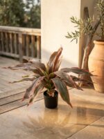 קורדילין שפת אש מלאכותי בעציץ