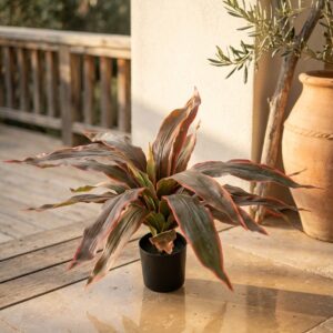 קורדילין שפת אש מלאכותי בעציץ