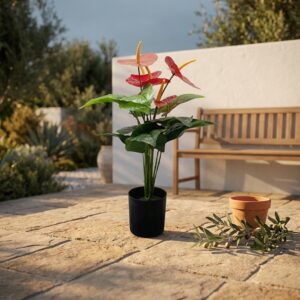 אנתוריום מלאכותי בעציץ