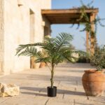 עציץ שרך סייקד מלאכותי