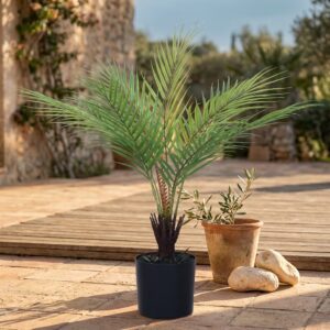 דקל ארקה מלאכותי בעציץ שחור