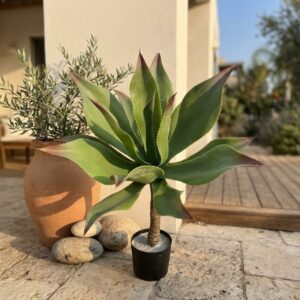 קקטוס מלאכותי בעציץ