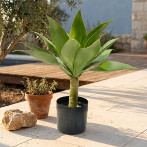 עציץ אגבה מלאכותית