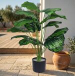 עציץ קלתאה מלאכותי