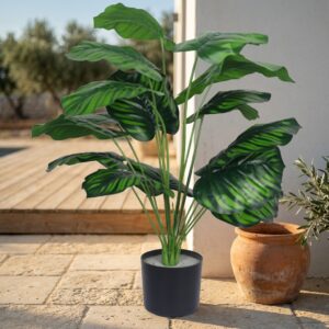 עציץ קלתאה מלאכותי