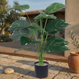 דיפנבכיה מלאכותית בעציץ שחור