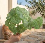 פילודנדרון מלאכותי ירוק 13 ראשים