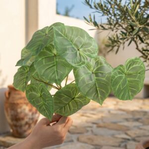 פילודנדרון מלאכותי ירוק 13 ראשים