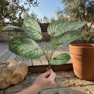 עלה קלתאה מלאכותי