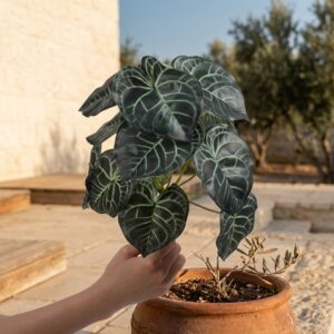 אנתוריום מלאכותי עלים ירוקים כהים