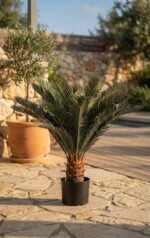 סייקד מלאכותי בעציץ שחור