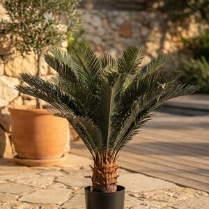 סייקד מלאכותי בעציץ שחור