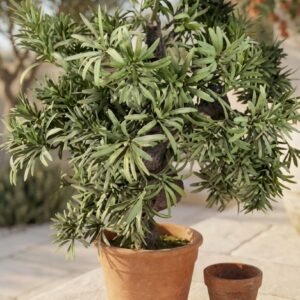 עץ בונסאי מלאכותי בעציץ חרס