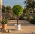 כדור טופיארי מלאכותי בעציץ לבן