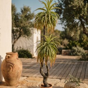 אגבה דרקו מלאכותית 2 ראשים