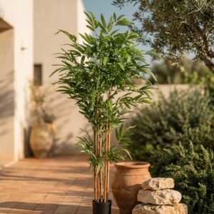 במבוק מלאכותי בעציץ שחור