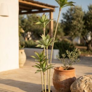 אגבה מלאכותית 5 ראשים