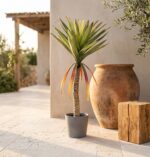 דרקונית מלאכותית גזע יחיד