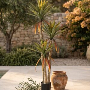 אגבה מלאכותית זנב דרקון 3 גזעים