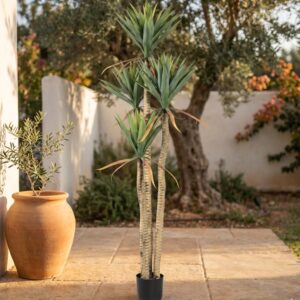 אגבה מלאכותית בעציץ שחור