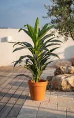 דרקונית מלאכותית עלים ירוקים