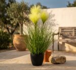 קנה מלאכותי בעציץ שחור