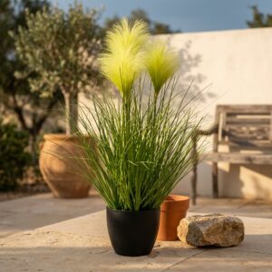 קנה מלאכותי בעציץ שחור