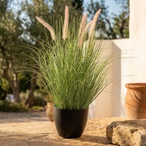 זנב שועל מלאכותי בעציץ שחור