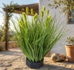 עשב זחל אביבי מלאכותי ראש ירוק