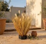 עשב זחל סתווי מלאכותי