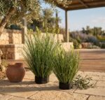 עשב זחל אביבי מלאכותי ראש ירוק