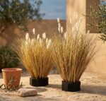 עשב זחל סתווי מלאכותי