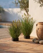 עשב זחל מלאכותי ראש ירוק סתווי