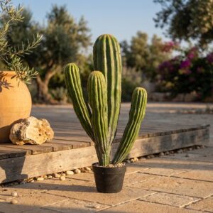 קקטוס מלאכותי 5 ראשים