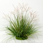 שיח זקן מלאכותי בעציץ מוס - 90cm