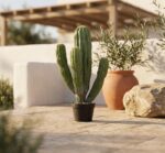 קקטוס מלאכותי רב-זרועות