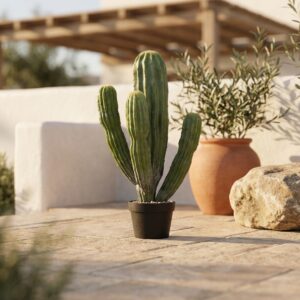 קקטוס מלאכותי רב-זרועות