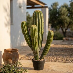 קקטוס מלאכותי ארבע זרועות בעציץ