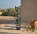 קקטוס נופך מלאכותי בעציץ